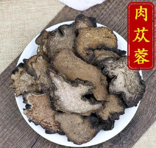 肉苁蓉怎么读
