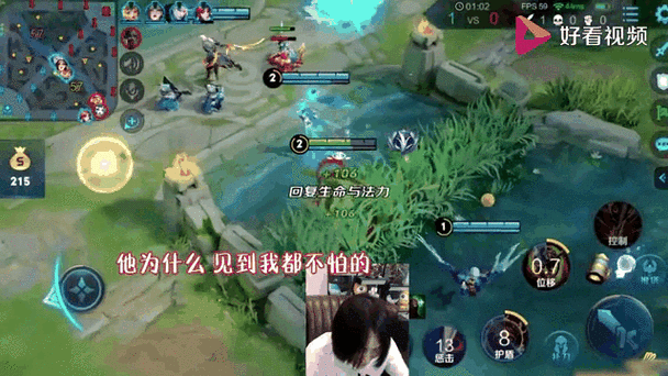 张大仙猴子教学视频