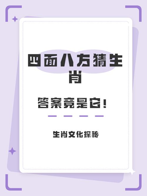 四方八面打准确一肖