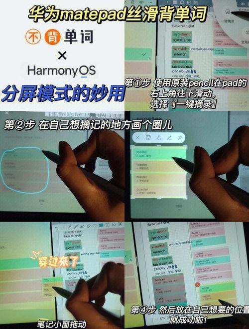 不背单词如何显示已学单词