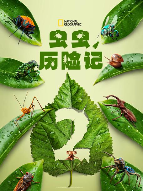 虫虫历险记国语版普通话在线