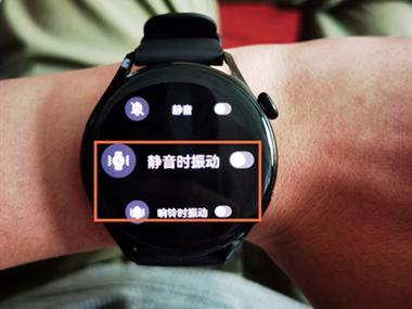 华为手表电话震动在哪里关截图
