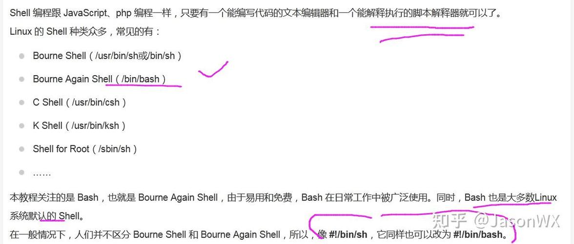 shell类型图标