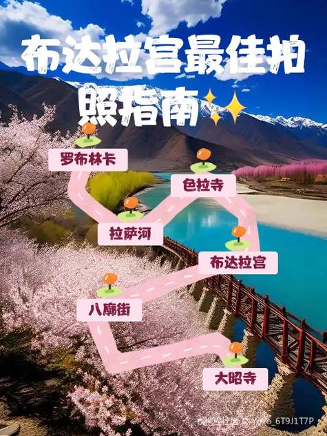 oppo手机哪款拍照效果最好图标
