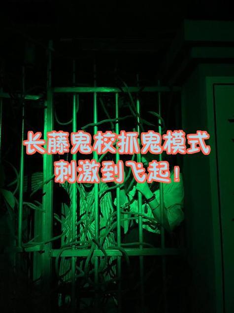 抓鬼和铃铛的使用方法