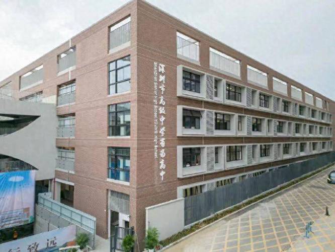 龙岗区1号文截图