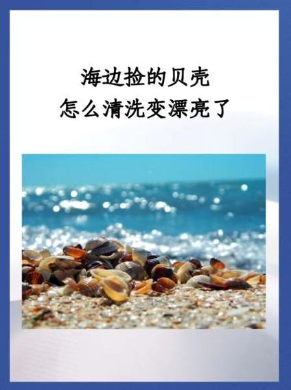 海螺壳用什么能去除臭味