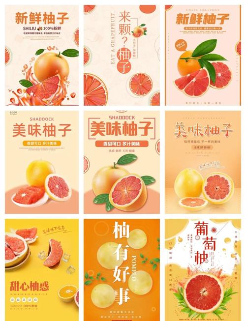 吉柚小视频海报