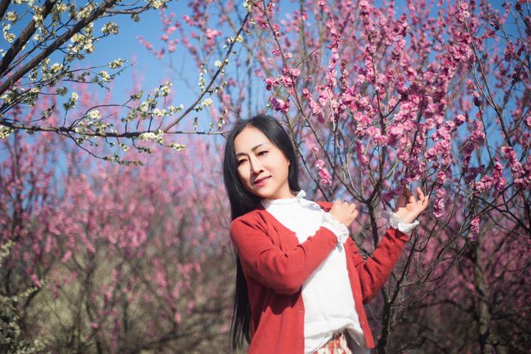 陌上桃花开下一句