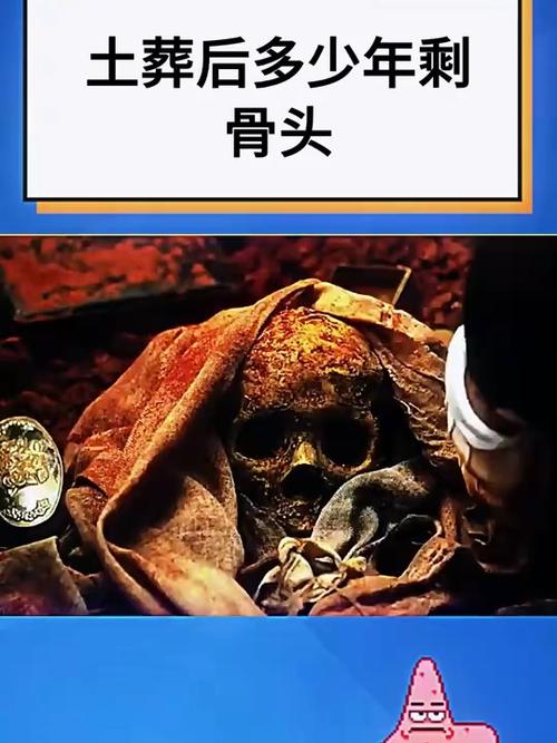 人骨头多久会被腐蚀完