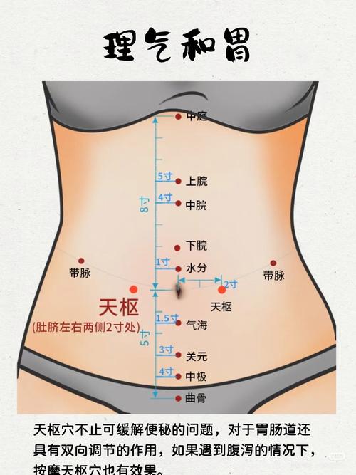天枢app下载