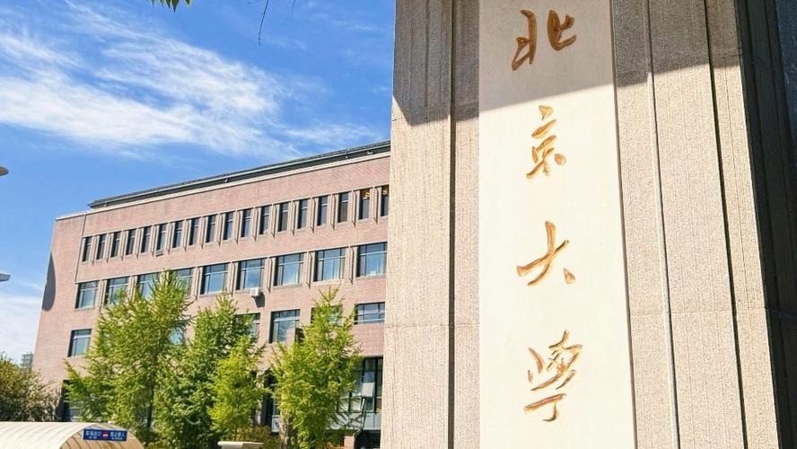 北京大学学生视频