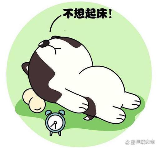 刚刚躺床上幽默回答