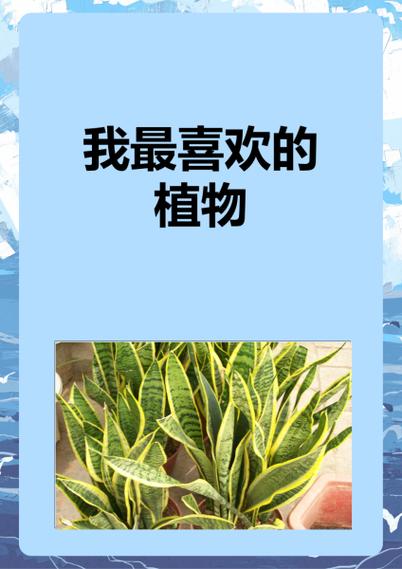 茉莉原版英语