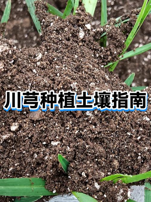 生土变熟土最快办法