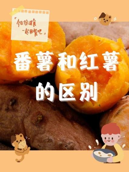 女朋友叫我番薯是什么意思