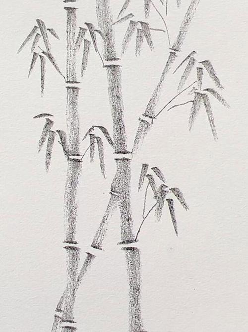 新手入门铅笔画