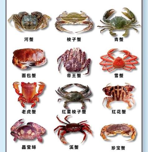 最贵蟹十大排名