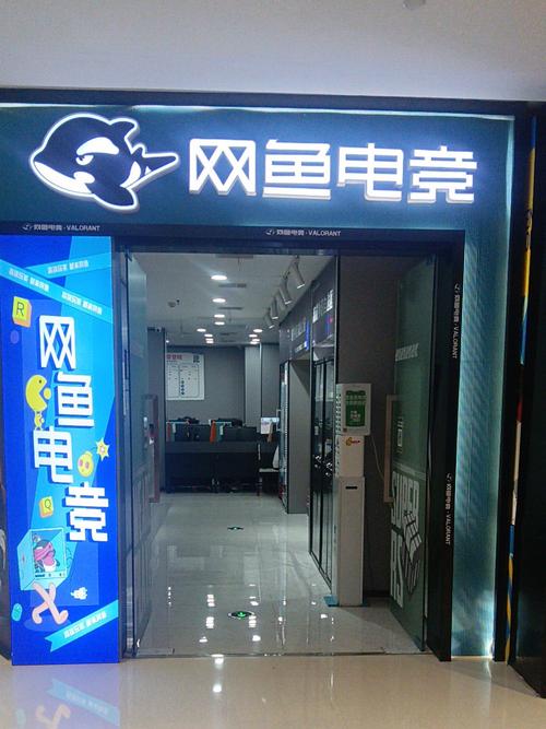 酷鱼网查分官方入口