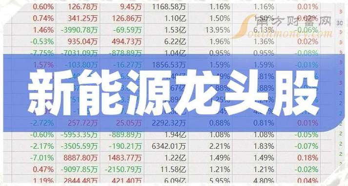 国新能源是什么龙头