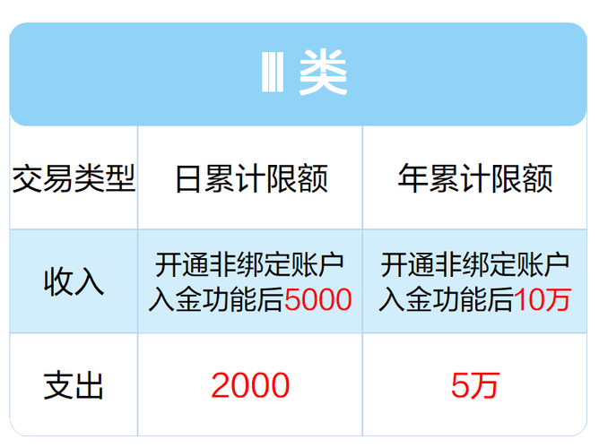 二类账户存入资金累计限额