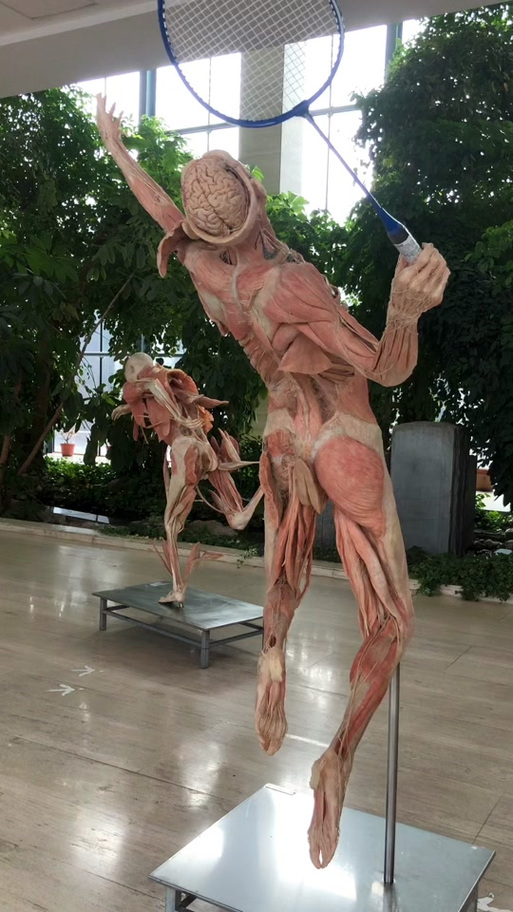 北京人体标本博物馆在哪