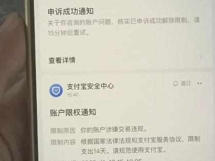 支付宝支付限制解决方法图标