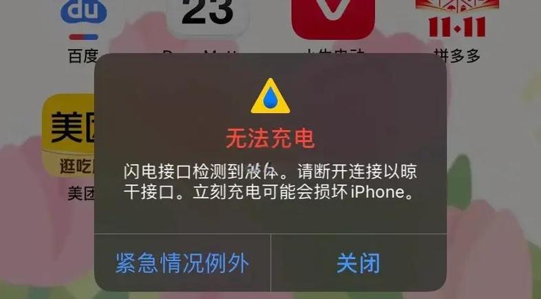 苹果手机掉水里没及时关机,充电充不