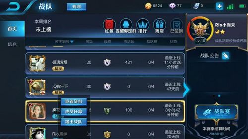 王者荣耀小队可以踢人吗