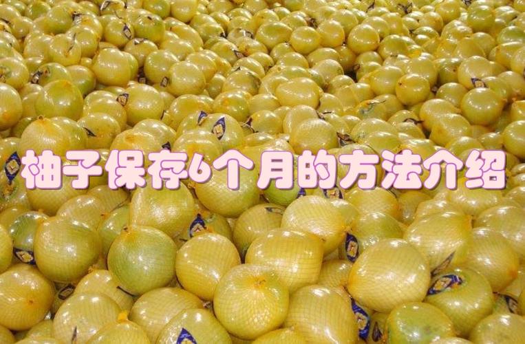 柚子保存6个月的方法