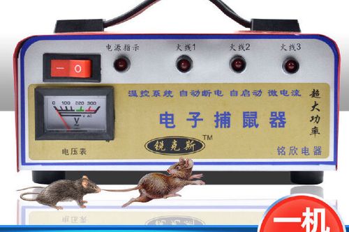 电老鼠器全自动最新款
