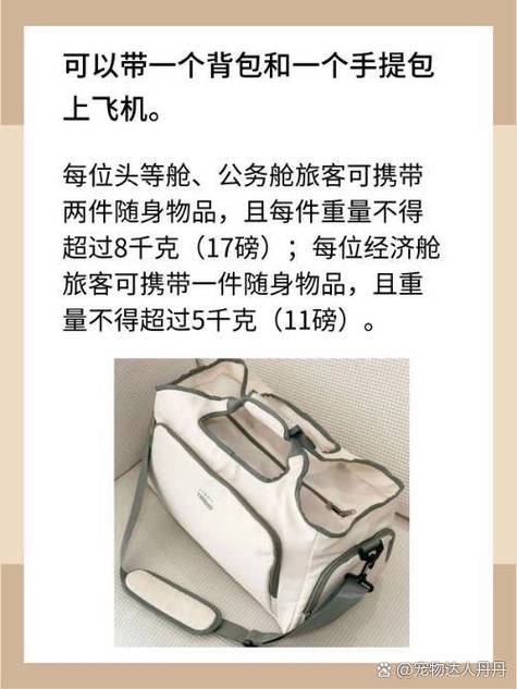 可以带背包和手提包吗