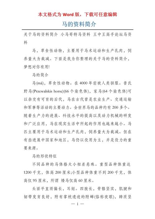 马大师资料免费大全