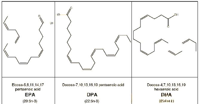 DPA的作用有那些