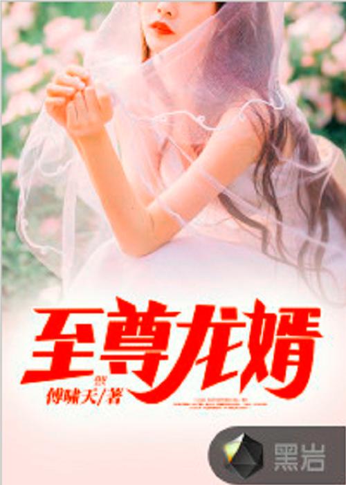 至尊龙婿全文免费阅读缩略图
