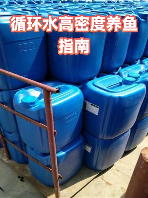 一个瓶子做循环水养鱼