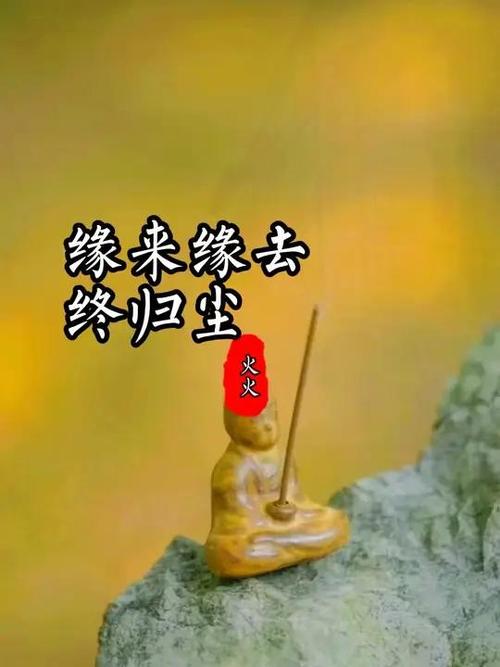 缘也尽了你也走了