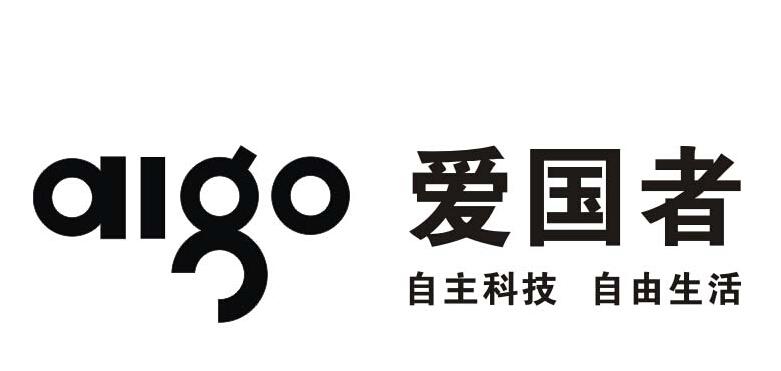 爰国者电视连续剧剧情