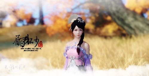 天涯明月刀网易