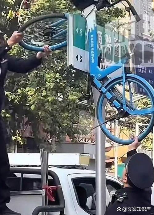 共享单车出现的原因截图