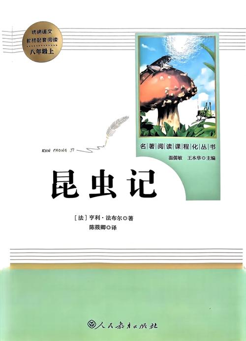 小强电子书手机版阅读