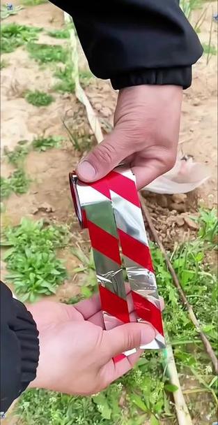 彩带驱鸟效果怎么样