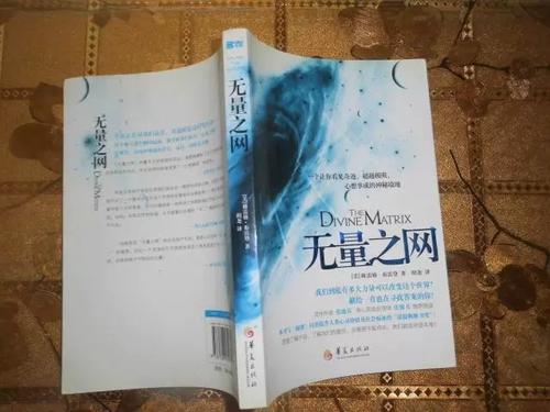 无量之网 在线阅读