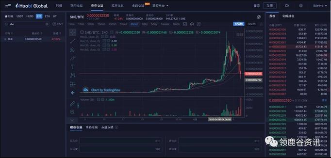 模式币成功案例