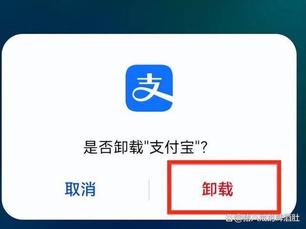 怎样卸掉花呗这项服务