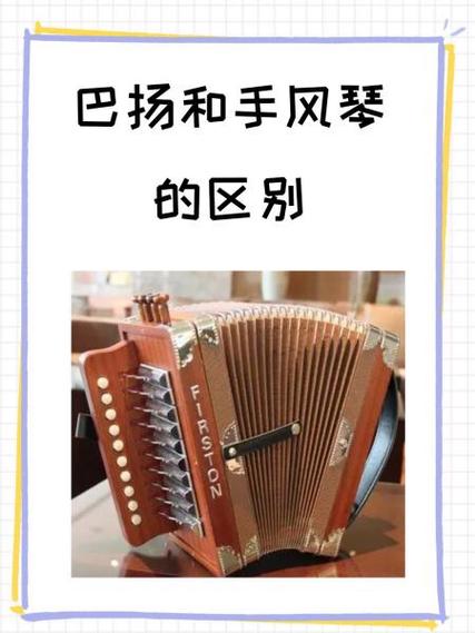 巴扬和手风琴哪个好学
