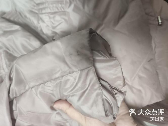 勤鸽服务干嘛的