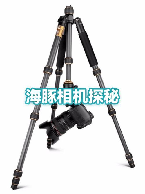 camera中文是什么意思
