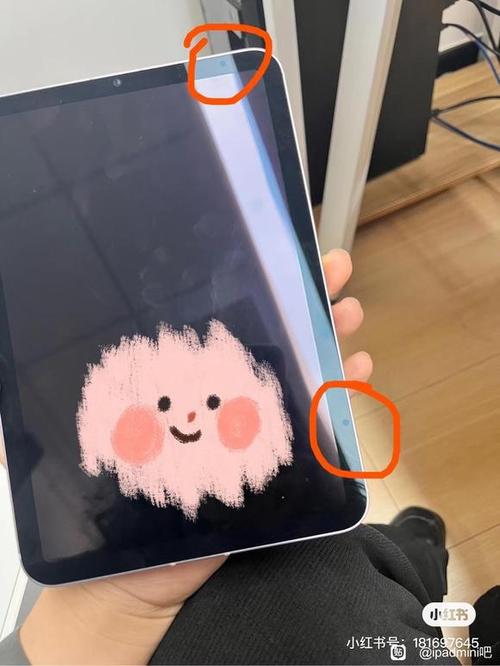 ipad屏幕上出现一个框图标