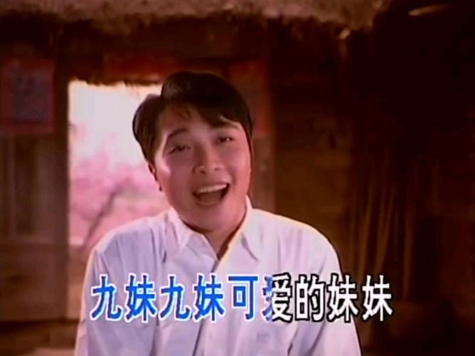 歌曲九妹黄鹤翔演唱游戏截图